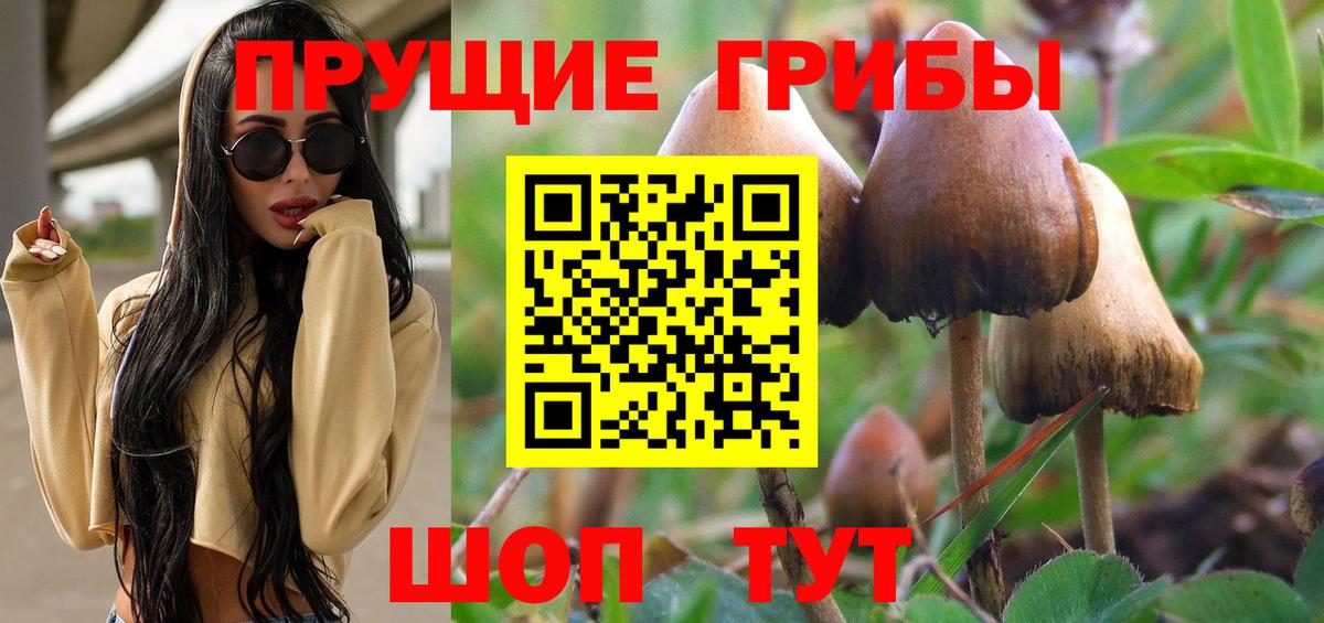 Псилоцибиновые грибы мицелий  Псилоцибиновые грибы прущие грибы  Вход с VPN  Горячий Ключ 